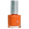 Avis Vernis à Ongles Corail n°02 - 7ml Avril