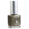 Avis Vernis à Ongles Acier Nacré n°102 - 7ml Avril