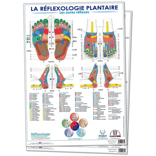 2 Posters A3 Réflexologie Plantaire - Les Zones réflexes de Mireille Meunier