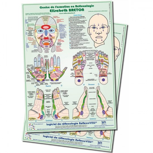 EB 2 Posters A3 PLASTIFIES de Réflexologie Plantaire, Palmaire & Visage, 42 X 30 cm (Lot de 2 Posters)